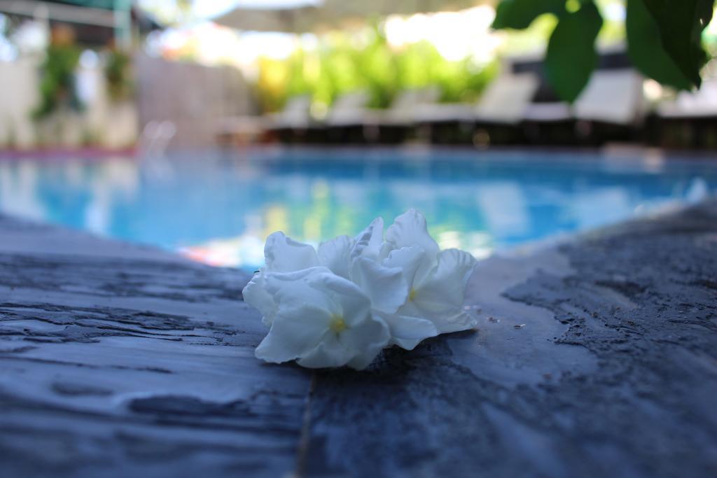 Phuc Thao Villa Hoi An Bagian luar foto